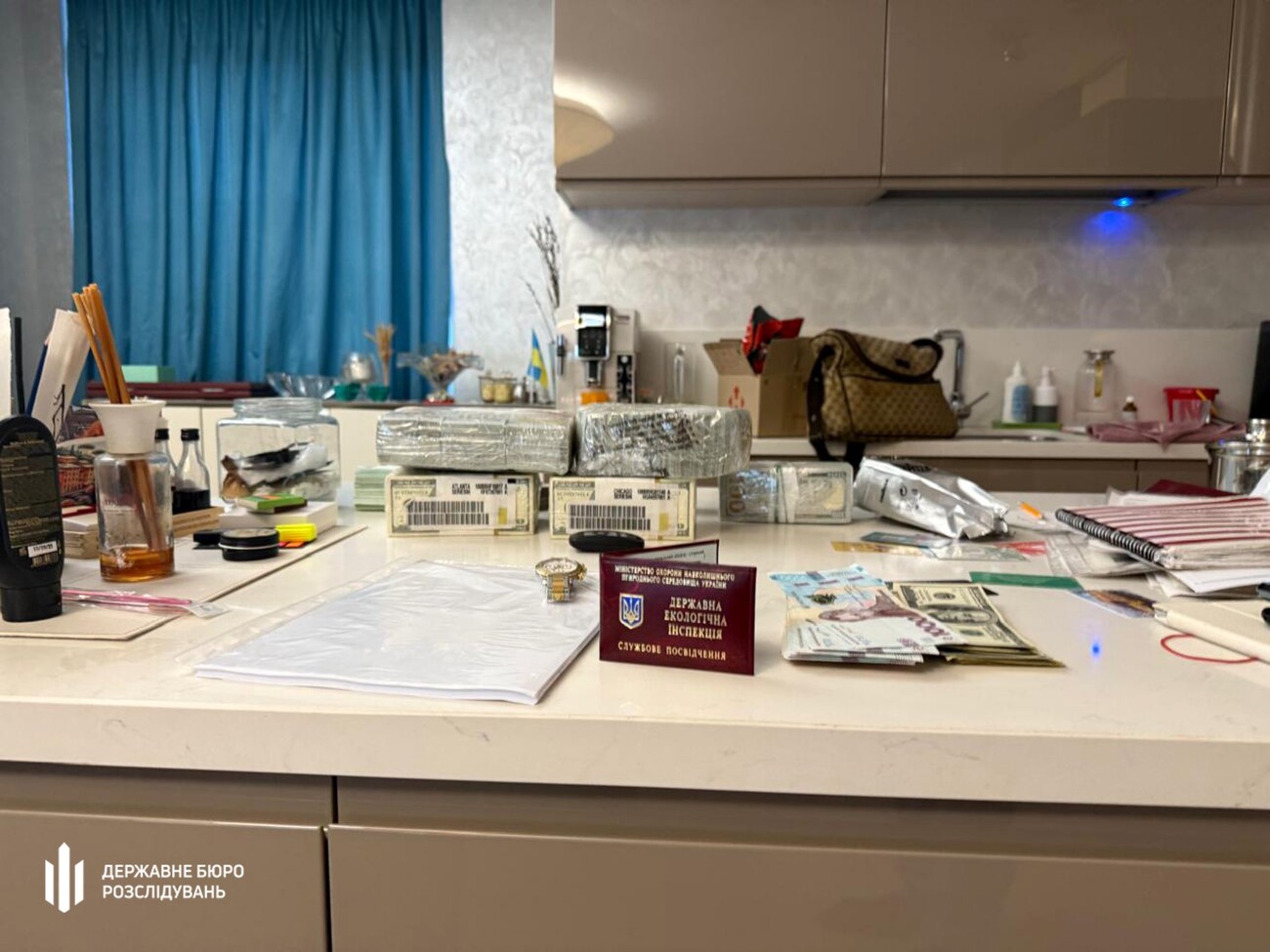 Мільйон у валюті, нерухомість і авто. У Дніпрі затримали екоінспекторку, яку підозрюють у незаконному збагаченні. Фото, відео