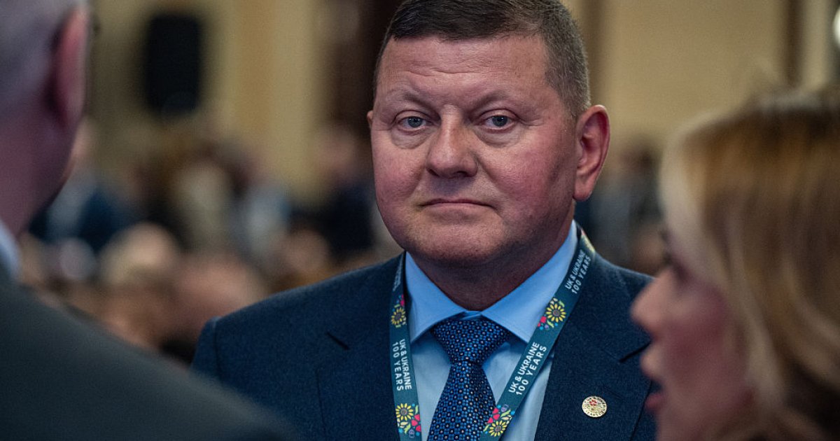 JEF замість НАТО. Чому Залужний вирішив випередити Зеленського — DSnews.ua
